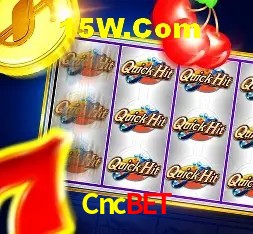 Sistemas de Segurança Cncbet